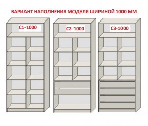 Шкаф распашной серия «ЗЕВС» (PL3/С1/PL2) в Верхней Пышме - verhnyaya-pyshma.mebel24.online | фото 7