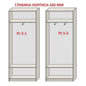 Шкаф распашной серия «ЗЕВС» (PL3/С1/PL2) в Верхней Пышме - verhnyaya-pyshma.mebel24.online | фото 8