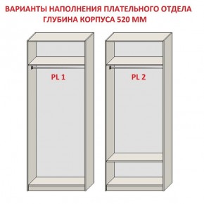 Шкаф распашной серия «ЗЕВС» (PL3/С1/PL2) в Верхней Пышме - verhnyaya-pyshma.mebel24.online | фото 9