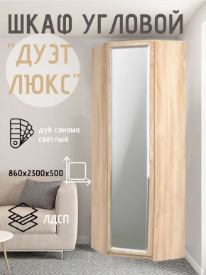 Шкаф угловой Дуэт Люкс с зеркалом в Верхней Пышме - verhnyaya-pyshma.mebel24.online | фото 1
