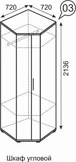 Шкаф угловой Ното в Верхней Пышме - verhnyaya-pyshma.mebel24.online | фото 3