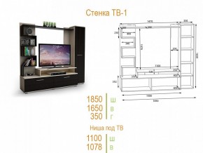 Стенка для гостиной ТВ-1 в Верхней Пышме - verhnyaya-pyshma.mebel24.online | фото 2