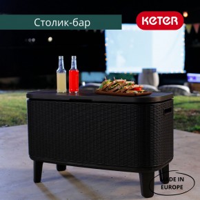 Стол Беви Бар (Bevy Bar Large Cool Bar), графит в Верхней Пышме - verhnyaya-pyshma.mebel24.online | фото 4