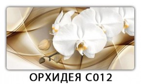 Стол раздвижной Трилогия с фотопечатью Доска D113 в Верхней Пышме - verhnyaya-pyshma.mebel24.online | фото 13
