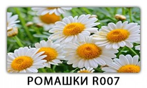 Стол раздвижной Трилогия с фотопечатью Доска D113 в Верхней Пышме - verhnyaya-pyshma.mebel24.online | фото 15