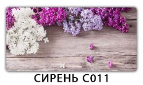 Стол раздвижной Трилогия с фотопечатью Доска D113 в Верхней Пышме - verhnyaya-pyshma.mebel24.online | фото 16