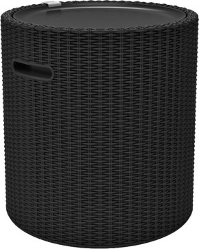 Столик-холодильник Кул-Стул (Cool stool) графит в Верхней Пышме - verhnyaya-pyshma.mebel24.online | фото 2