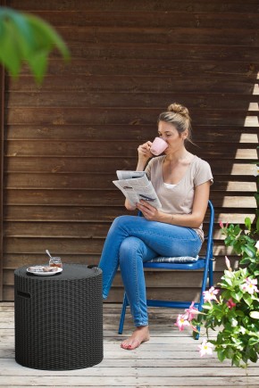 Столик-холодильник Кул-Стул (Cool stool) коричневый в Верхней Пышме - verhnyaya-pyshma.mebel24.online | фото 2