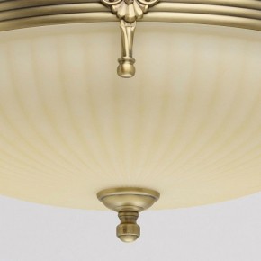 Светильник на штанге MW-Light Афродита 1 317011504 в Верхней Пышме - verhnyaya-pyshma.mebel24.online | фото 4