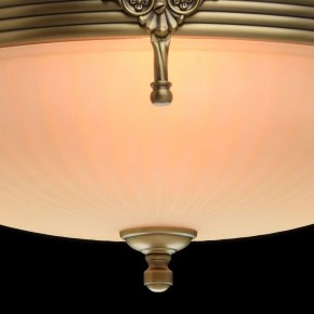 Светильник на штанге MW-Light Афродита 1 317011504 в Верхней Пышме - verhnyaya-pyshma.mebel24.online | фото 5