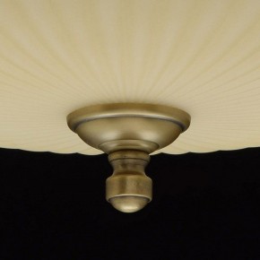 Светильник на штанге MW-Light Афродита 1 317011504 в Верхней Пышме - verhnyaya-pyshma.mebel24.online | фото 9