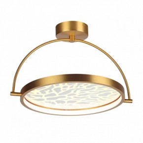 Светильник на штанге Odeon Light Solaris 6627/36CL в Верхней Пышме - verhnyaya-pyshma.mebel24.online | фото 3