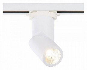 Светильник на штанге ST-Luce ST650 ST650.536.10 в Верхней Пышме - verhnyaya-pyshma.mebel24.online | фото 2