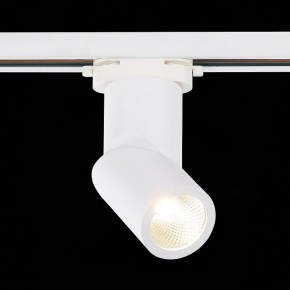 Светильник на штанге ST-Luce ST650 ST650.536.10 в Верхней Пышме - verhnyaya-pyshma.mebel24.online | фото 3