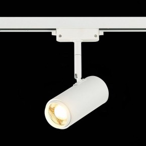 Светильник на штанге ST-Luce Zoom ST600.536.12 в Верхней Пышме - verhnyaya-pyshma.mebel24.online | фото 4