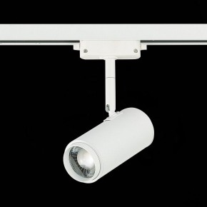 Светильник на штанге ST-Luce Zoom ST600.546.12 в Верхней Пышме - verhnyaya-pyshma.mebel24.online | фото 5