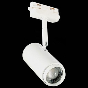 Светильник на штанге ST-Luce Zoom ST600.546.12 в Верхней Пышме - verhnyaya-pyshma.mebel24.online | фото 6
