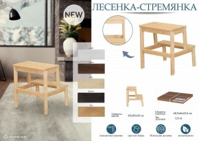 Табурет Стремянка в Верхней Пышме - verhnyaya-pyshma.mebel24.online | фото 6