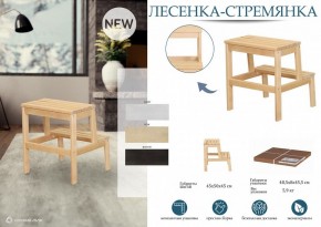 Табурет Стремянка в Верхней Пышме - verhnyaya-pyshma.mebel24.online | фото 4