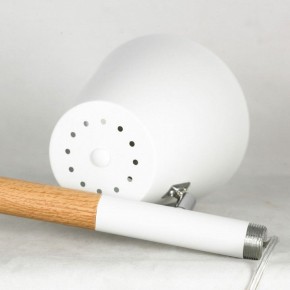 Торшер Lussole Buckeye LSP-0628 в Верхней Пышме - verhnyaya-pyshma.mebel24.online | фото 5