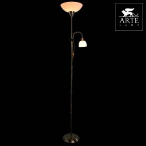 Торшер с подсветкой Arte Lamp Duetto A9569PN-2AB в Верхней Пышме - verhnyaya-pyshma.mebel24.online | фото 3