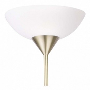Торшер с подсветкой Arte Lamp Duetto A9569PN-2AB в Верхней Пышме - verhnyaya-pyshma.mebel24.online | фото 5