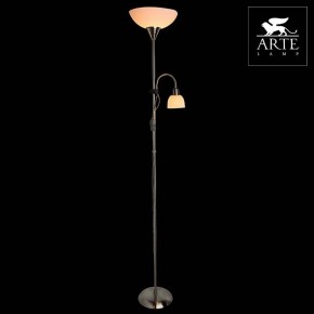 Торшер с подсветкой Arte Lamp Duetto A9569PN-2SS в Верхней Пышме - verhnyaya-pyshma.mebel24.online | фото 3