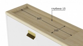 Тумба для обуви Норд L в Верхней Пышме - verhnyaya-pyshma.mebel24.online | фото 10