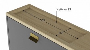 Тумба для обуви Норд L в Верхней Пышме - verhnyaya-pyshma.mebel24.online | фото 9