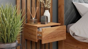 Тумба навесная Тип 1 в Верхней Пышме - verhnyaya-pyshma.mebel24.online | фото 6