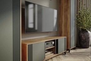 Тумба под ТВ Богемия в Верхней Пышме - verhnyaya-pyshma.mebel24.online | фото 3
