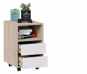 Тумбочка Тип 14 в Верхней Пышме - verhnyaya-pyshma.mebel24.online | фото 4