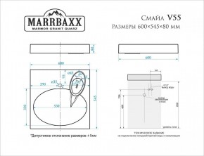 Умывальник над стиральной машиной (600*545*80) Смайл V55D1 (белый) с кронштейном без сифона (V55D1) в Верхней Пышме - verhnyaya-pyshma.mebel24.online | фото 2