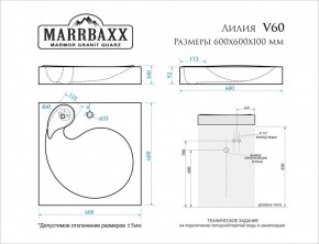 Умывальник над стиральной машиной (600*600х100) Лилия V60 (белый) с кронштейном без сифона (V60) в Верхней Пышме - verhnyaya-pyshma.mebel24.online | фото 2