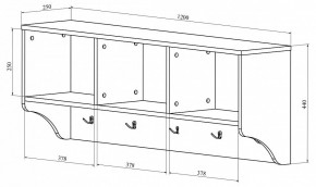 Вешалка-полка ДримСтар ДС-30 в Верхней Пышме - verhnyaya-pyshma.mebel24.online | фото 3