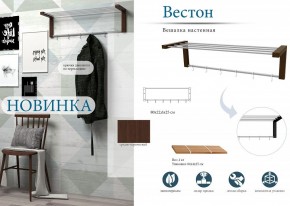 Вешалка-полка Вестон в Верхней Пышме - verhnyaya-pyshma.mebel24.online | фото 3